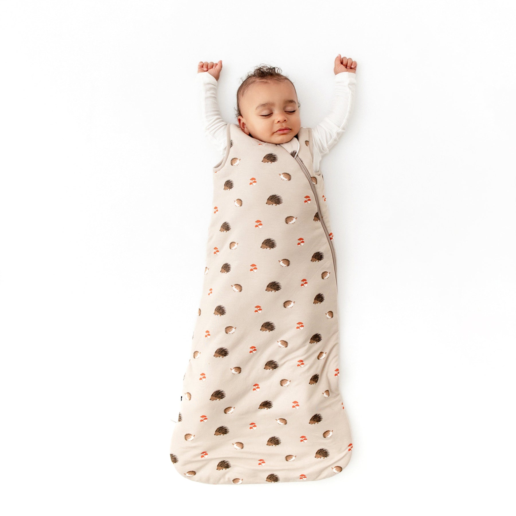 Kyte Baby Sleep Bag 2.5 Tog Sleep Bag in Prickle 2.5