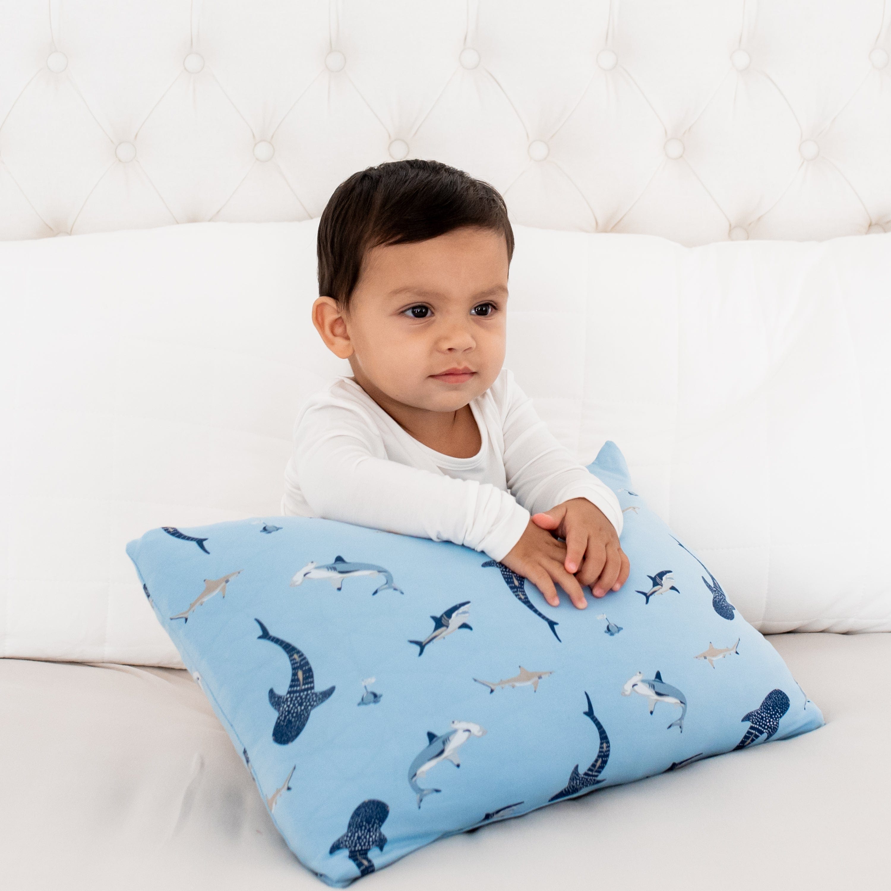 Kyte Baby Toddler Pillow Case Shark / Toddler Toddler Pillowcase in Shark