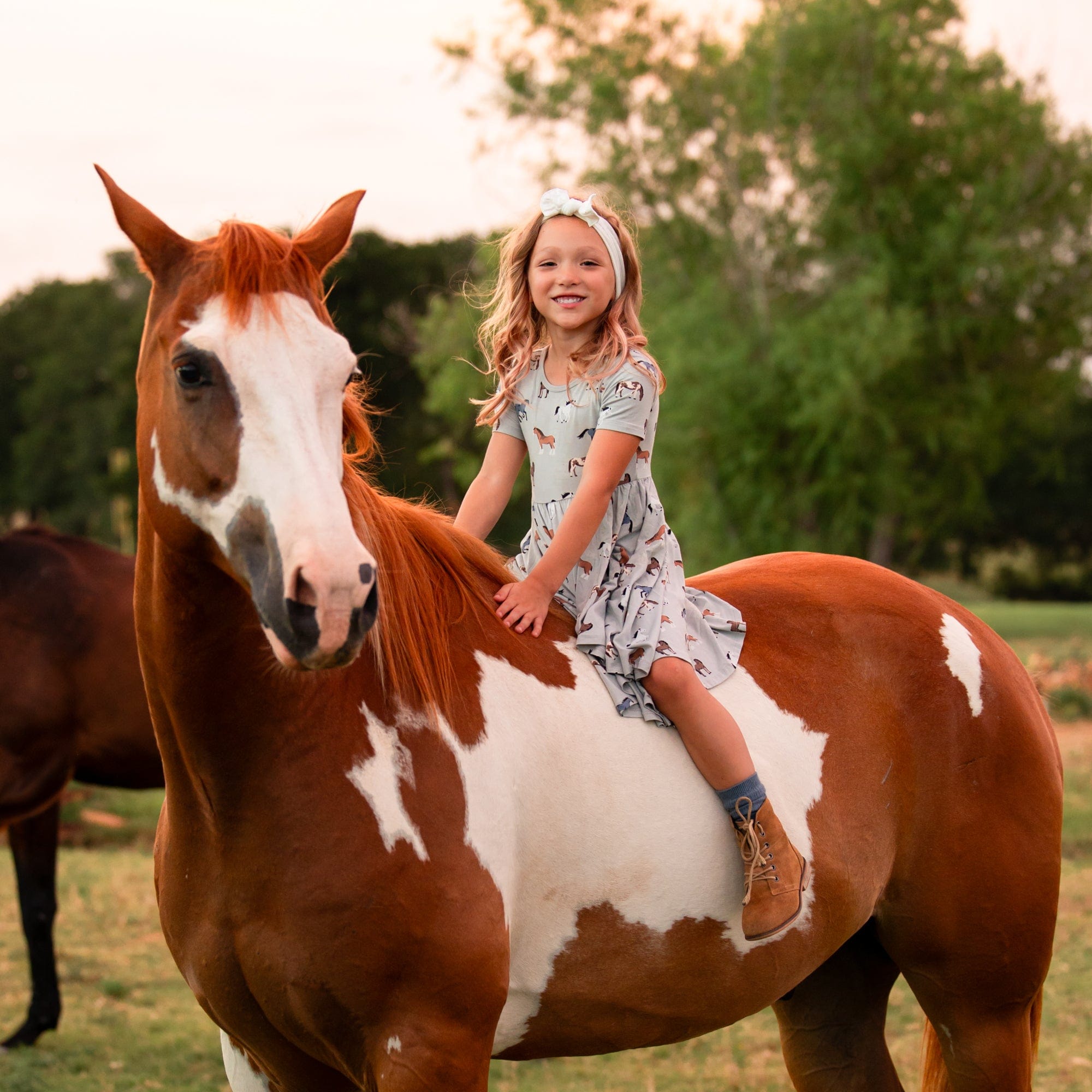 Kyte Baby Toddler Short Sleeve Twirl Dress Twirl Dress in Horse