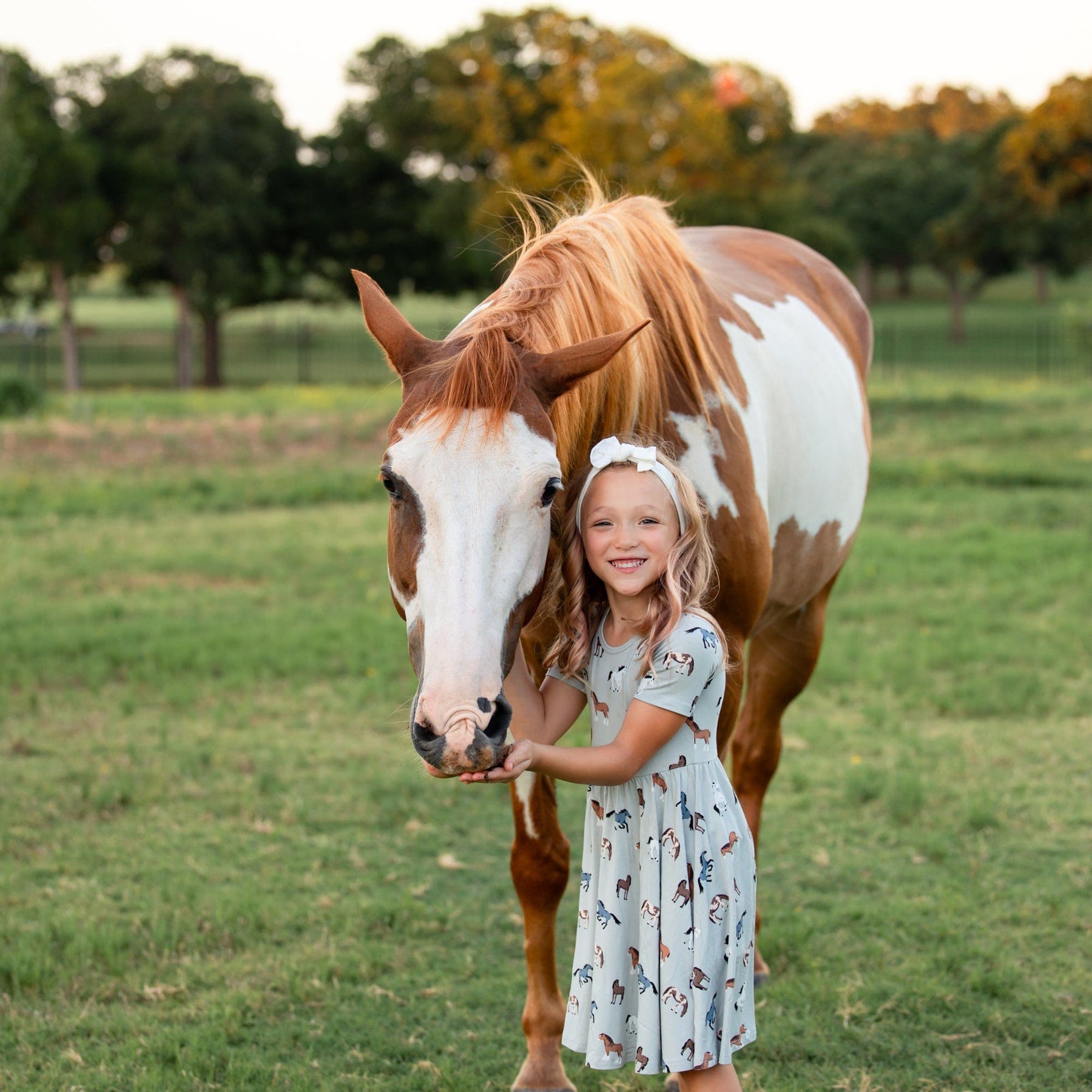 Kyte Baby Toddler Short Sleeve Twirl Dress Twirl Dress in Horse