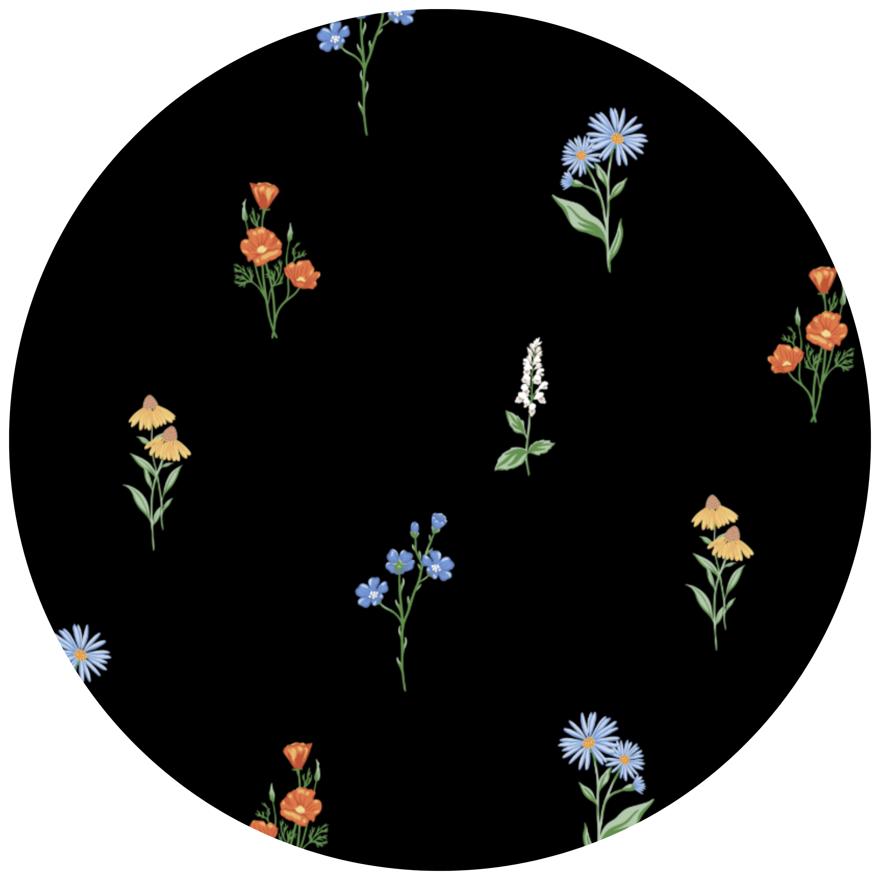 black background with colorful wildflowers