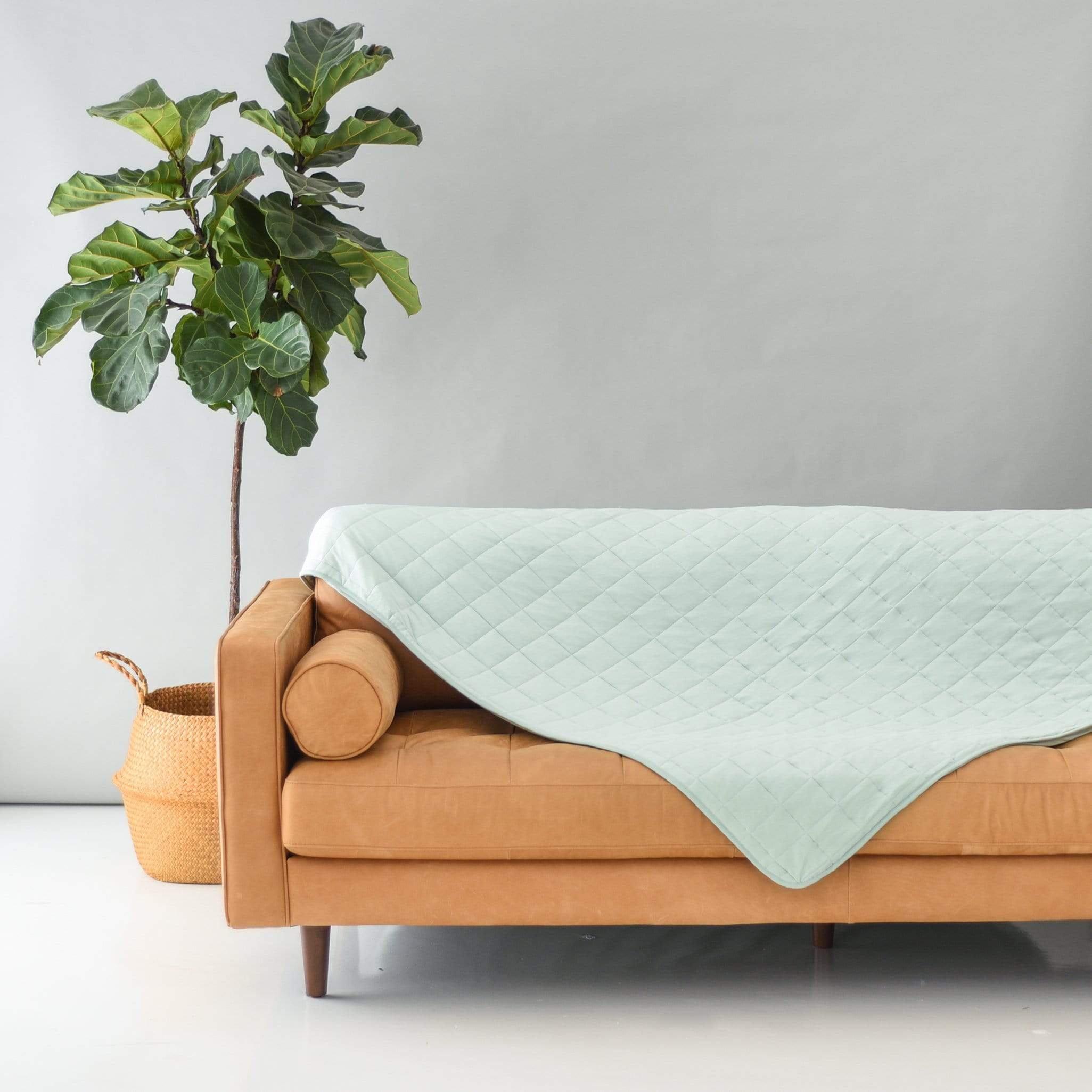Couch with Kyte Baby Adult Quilted bamboo Blanket in Sage