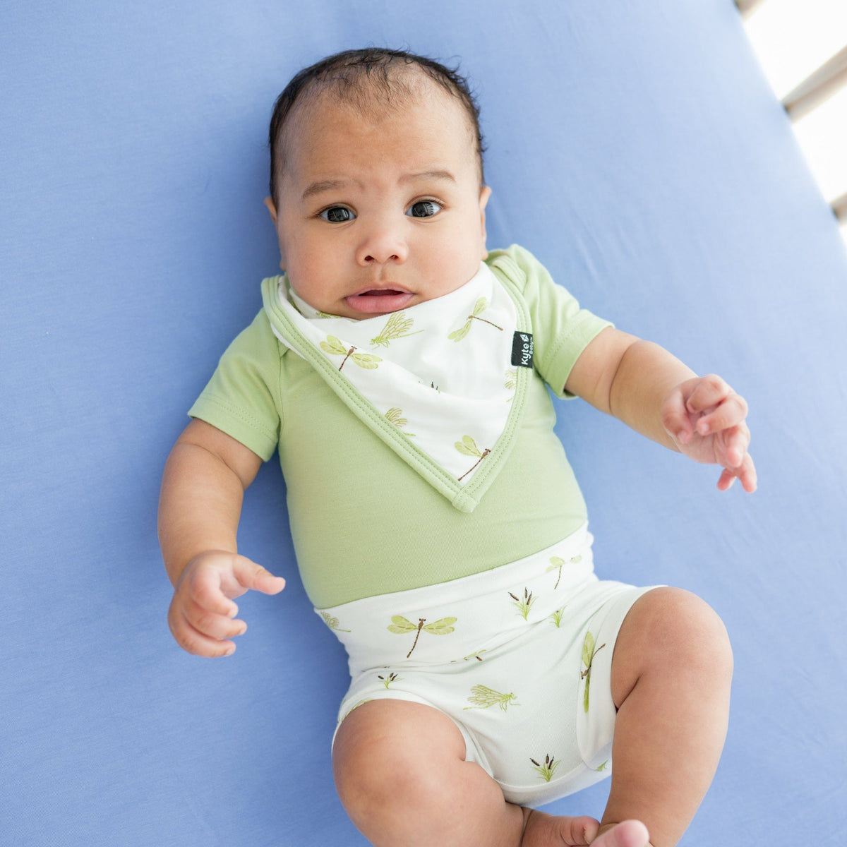 Kyte BABY Bummies Bummies in Dragonfly