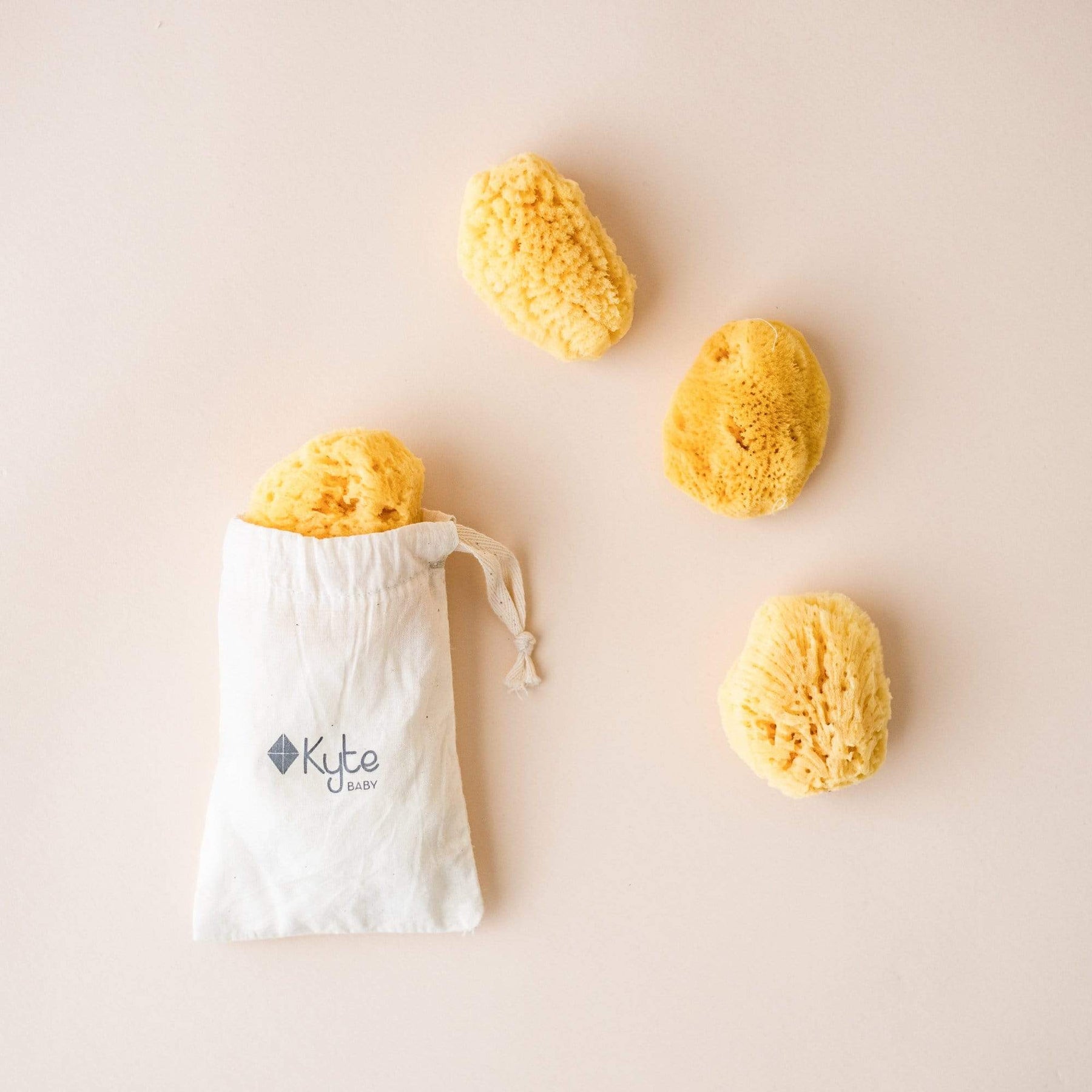 summer infant sponge Face Sea Sponge-4 Pack Bundle by Kyte Baby