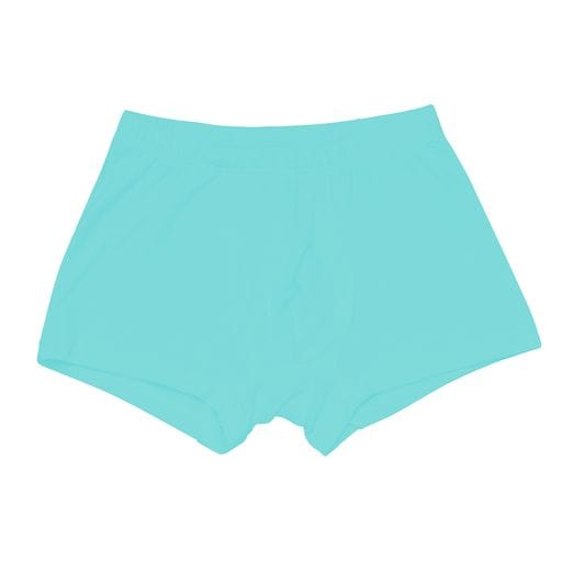 Kyte BABY Underwear Briefs in Robin