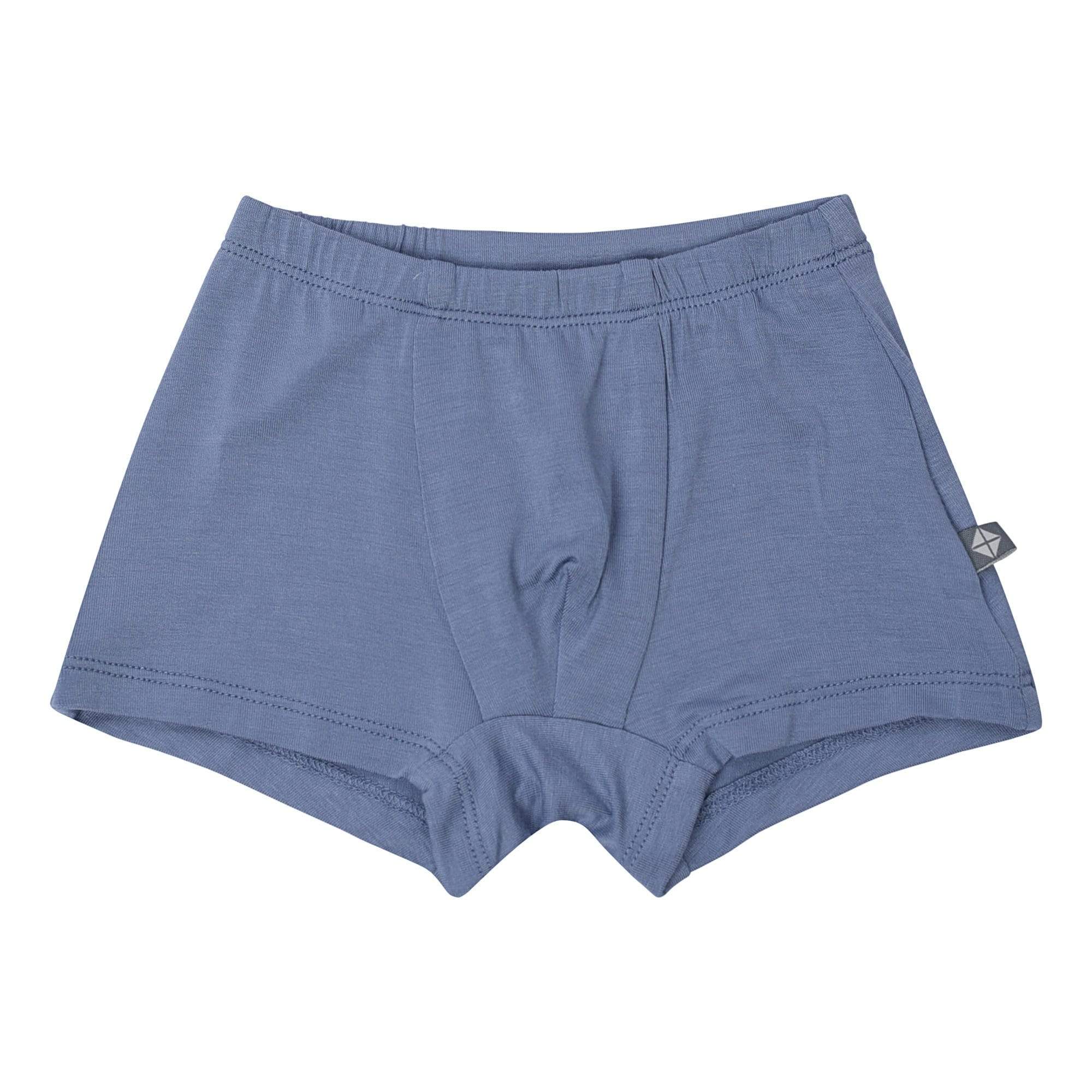 Bamboo Boys Briefs (blue/flint/sand) - Vancouver's Best Baby