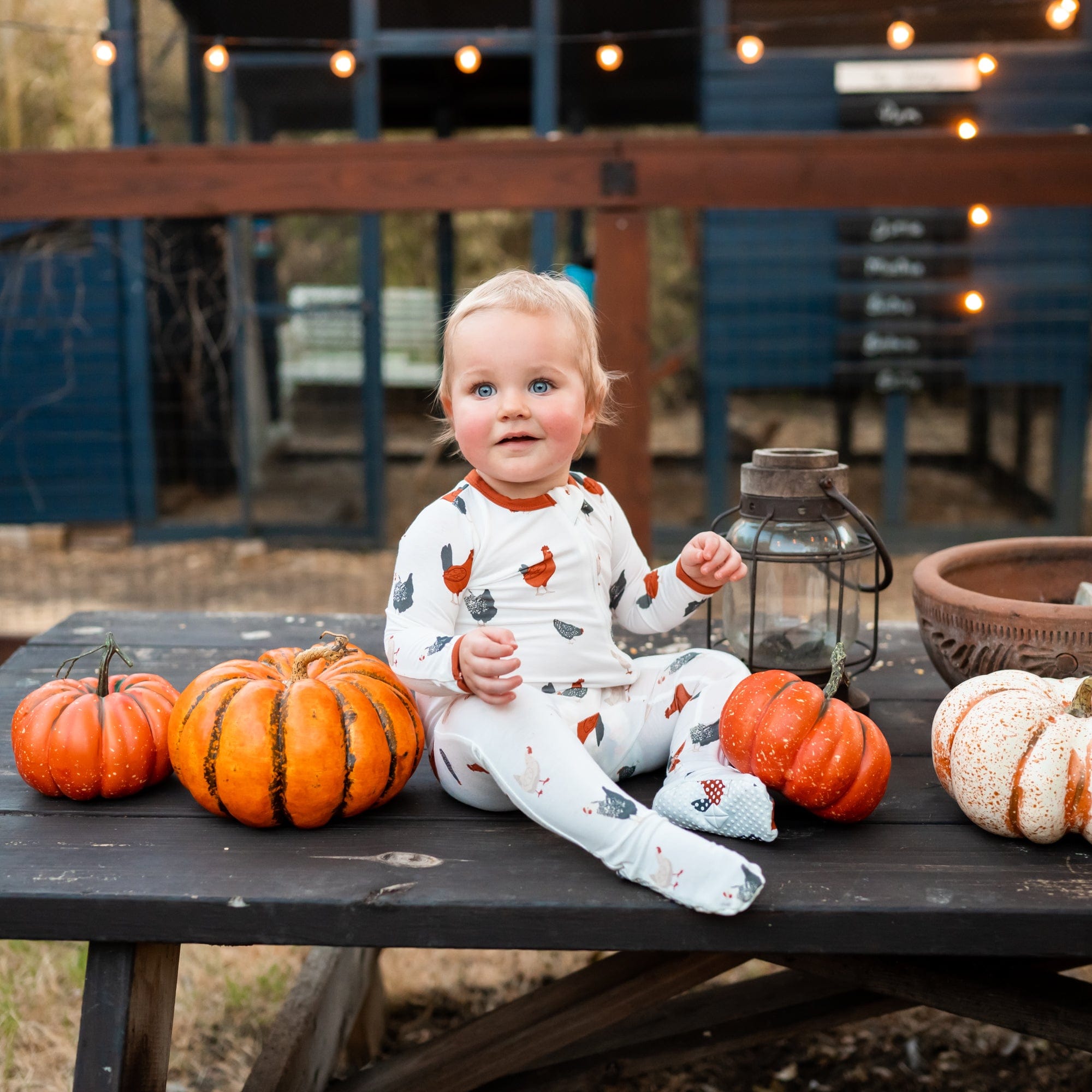 Kyte baby sold pumpkins